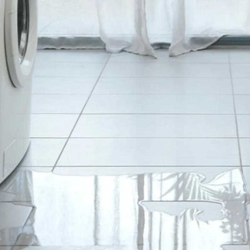 Appliance Leak Cleanup in Lake County, OH