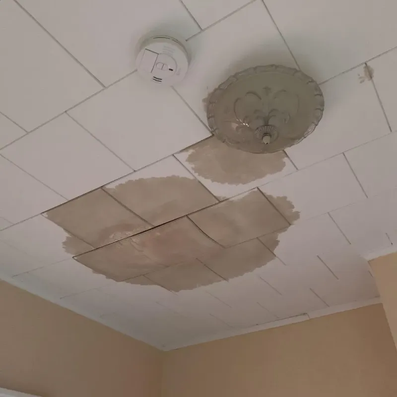 Ceiling Water Damage Repair in Lake County, OH