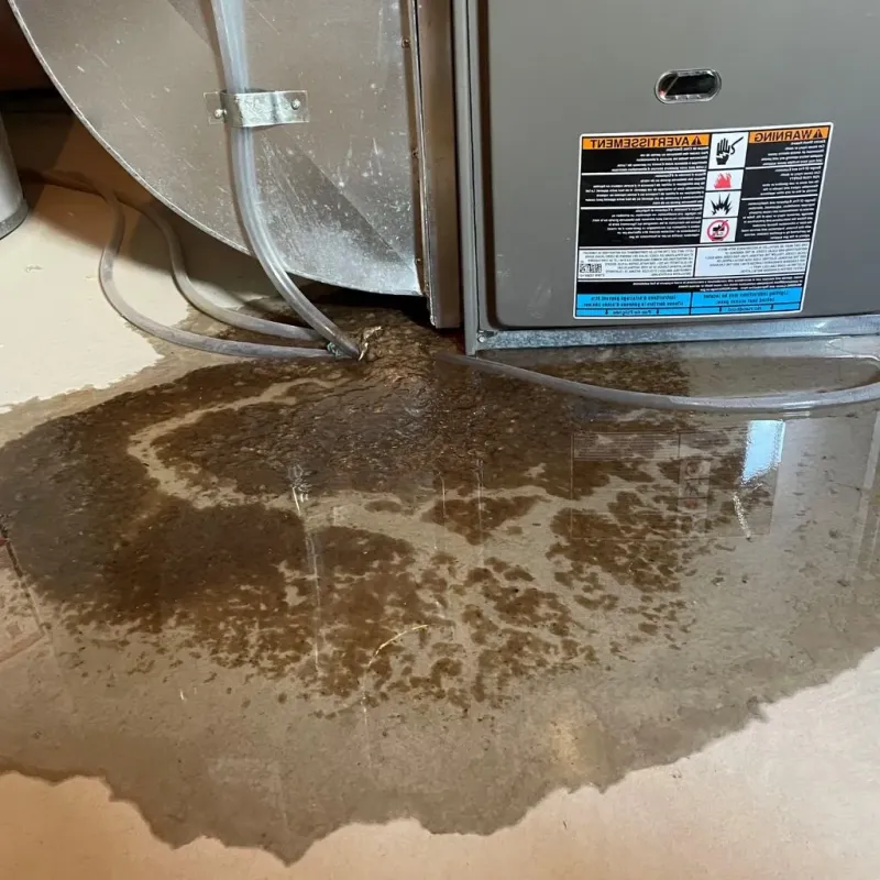 Pipe Burst and Leak Restoration in Lake County, OH