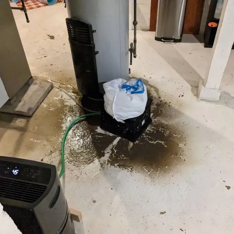 Sewage Backup Cleanup Service in Lake County, OH